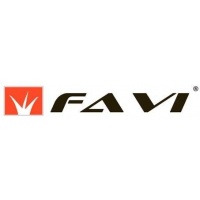 FAVI Entertainment