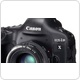 Has the Canon 1DX started shipping?