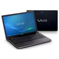Sony VAIO VGN-AW41ZF