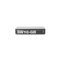 Pakedge SW16-GB