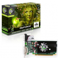 Point of View GeForce GT520