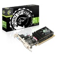 Point of View GeForce GT 610 2048MB