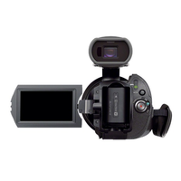 Sony Handycam NEX-VG30