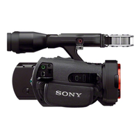 Sony Handycam NEX-VG900