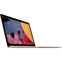 Apple MacBook (13-inch, Early 2015)