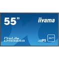 iiyama PROLITE LH5565S